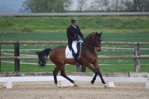 Concours de Dressage 2018