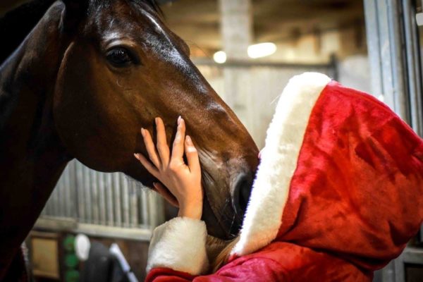 La Conquête de Noël 2018