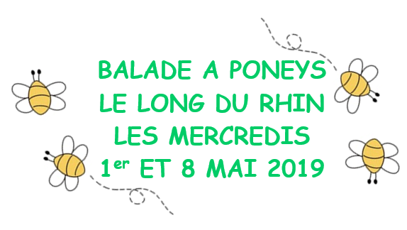 Balade à poneys les 1er et 8 mai 2019